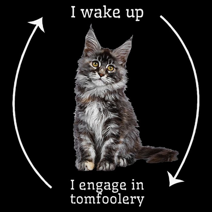 I Wake Up I Engage In Tomfoolery Silly Cat Meme Maine Coon Short Acrylic Beanie