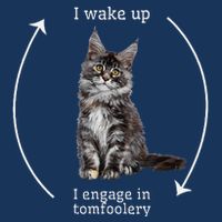 I Wake Up I Engage In Tomfoolery Silly Cat Meme Maine Coon Infant Baby Jersey Bodysuit