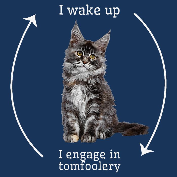 I Wake Up I Engage In Tomfoolery Silly Cat Meme Maine Coon Infant Baby Jersey Bodysuit