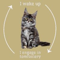 I Wake Up I Engage In Tomfoolery Silly Cat Meme Maine Coon Sustainable Beanie