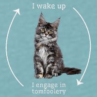 I Wake Up I Engage In Tomfoolery Silly Cat Meme Maine Coon Sueded Cloud Jersey T-Shirt