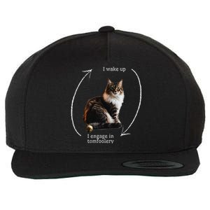 I Wake Up I Engage In Tomfoolery Silly Cat Meme Wool Snapback Cap