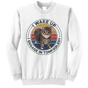 I Wake Up I Engage In Tomfoolery Silly Cat Meme Dark Joke Sweatshirt