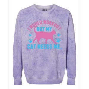 I Would Workout But My Cat Needs Me Colorblast Crewneck Sweatshirt