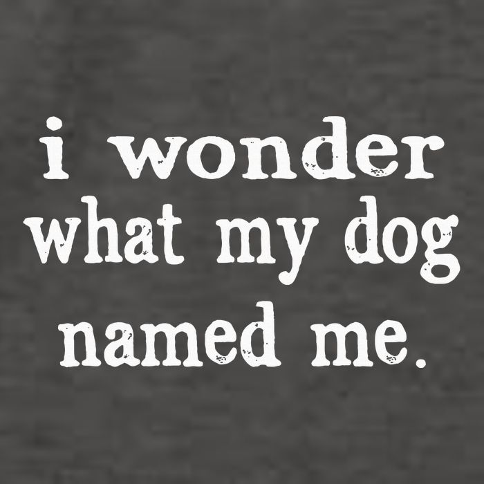 I Wonder What My Dog Named Me Funny Pet Sayings Vector Backpack