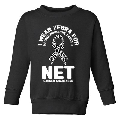 I Wear Zebra for Neuroendocrine Cancer Awareness NET Cancer Toddler Sweatshirt