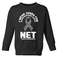 I Wear Zebra for Neuroendocrine Cancer Awareness NET Cancer Toddler Sweatshirt