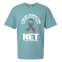 I Wear Zebra for Neuroendocrine Cancer Awareness NET Cancer Sueded Cloud Jersey T-Shirt