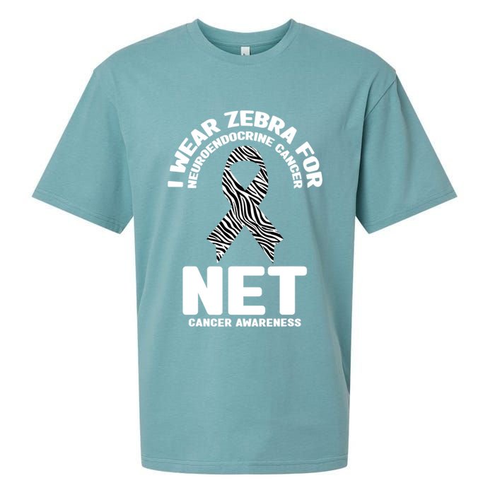 I Wear Zebra for Neuroendocrine Cancer Awareness NET Cancer Sueded Cloud Jersey T-Shirt