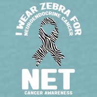 I Wear Zebra for Neuroendocrine Cancer Awareness NET Cancer Sueded Cloud Jersey T-Shirt
