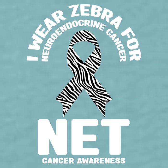 I Wear Zebra for Neuroendocrine Cancer Awareness NET Cancer Sueded Cloud Jersey T-Shirt