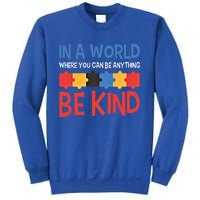 If You Can Be Anything Be Kind Autism Awareness Funny Gift Sweatshirt