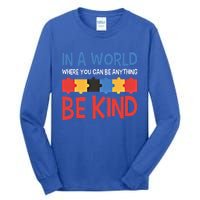 If You Can Be Anything Be Kind Autism Awareness Funny Gift Tall Long Sleeve T-Shirt