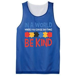 If You Can Be Anything Be Kind Autism Awareness Funny Gift Mesh Reversible Basketball Jersey Tank