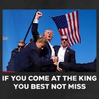 If You Come At The King You Best Not Miss Trump Shot Fist Adult Drive Performance Visor
