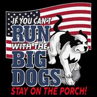 If You Cant Run With Big Dog Stay On Porch 16 in Basic Backpack