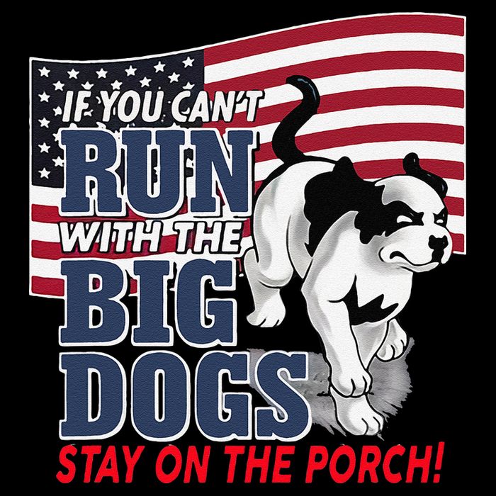 If You Cant Run With Big Dog Stay On Porch 16 in Basic Backpack