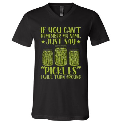 If You CanT Remember My Name Just Say Pickles V-Neck T-Shirt