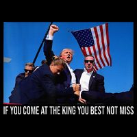 If You Come At The King You Best Not Miss Trump Sustainable Bucket Hat
