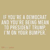 If Youre Democrat Youre Mean to Trump Im on Your Bumper T-Shirt