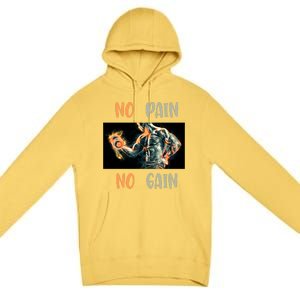 If You Don't Want To Give Up No Pain No Gain Gift Premium Pullover Hoodie