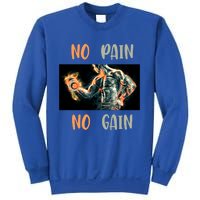 If You Don't Want To Give Up No Pain No Gain Gift Sweatshirt