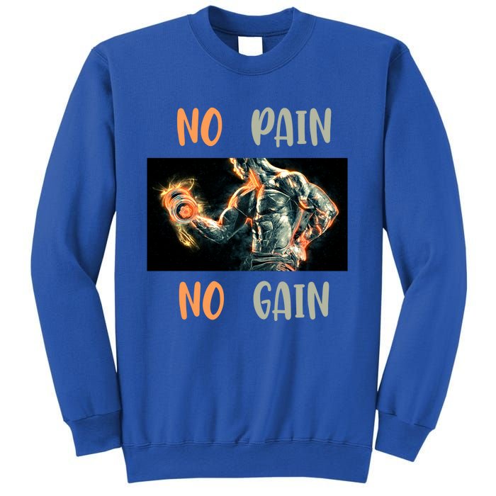 If You Don't Want To Give Up No Pain No Gain Gift Sweatshirt