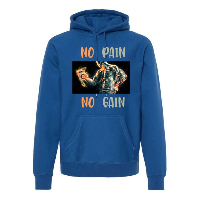 If You Don't Want To Give Up No Pain No Gain Gift Premium Hoodie