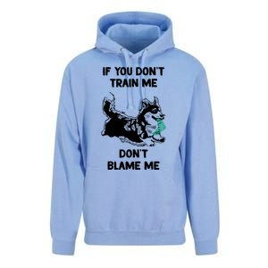 If You Don't Train Me Don't Blame Me Corgi Unisex Surf Hoodie