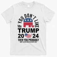 If You Dont Like Trump Then You Probably Wont Like Me Funny Political T-Shirt