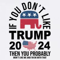 If You Dont Like Trump Then You Probably Wont Like Me Funny Political T-Shirt