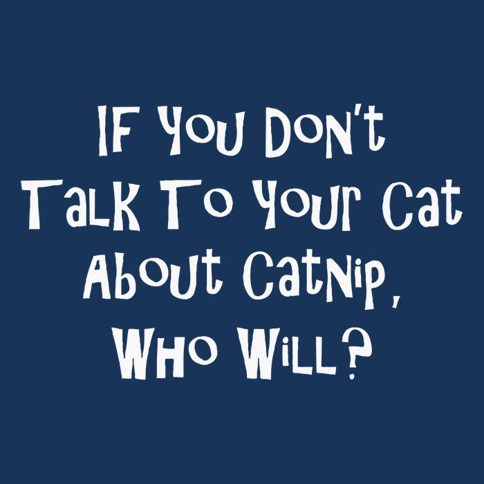 If You Don't Talk To Your Cat About Catnip Who Will Infant Baby Jersey Bodysuit