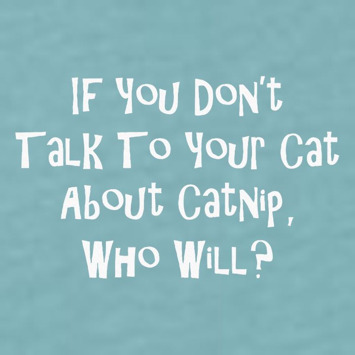 If You Don't Talk To Your Cat About Catnip Who Will Sueded Cloud Jersey T-Shirt