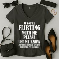 If Youre Flirting With Me Please Let Me Know Women's V-Neck T-Shirt