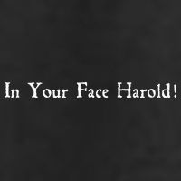 In Your Face Harold! Adult Drive Performance Visor