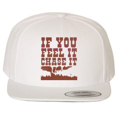 If You Feel It Chase It Wool Snapback Cap