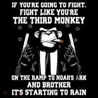 If Youre Going To Fight Fight Like Third Monkey Cropped Pullover Crew