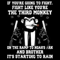 If Youre Going To Fight Fight Like Third Monkey Wool Snapback Cap