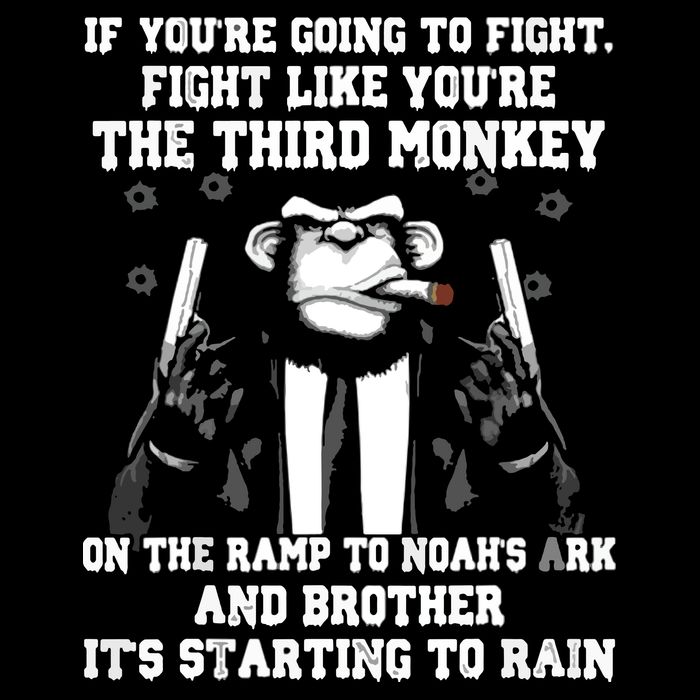 If Youre Going To Fight Fight Like Third Monkey Wool Snapback Cap