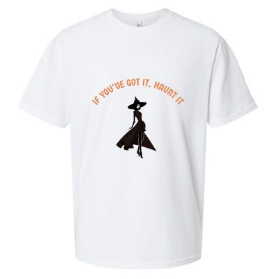 If You’Ve Got It Haunt It Funny Halloween Witch Design Meaningful Gift Sueded Cloud Jersey T-Shirt