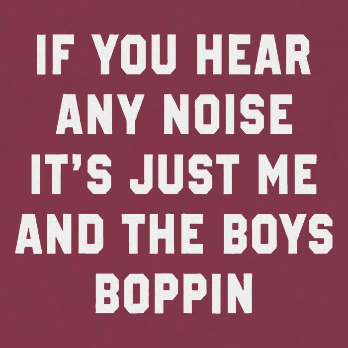If You Hear Any Noise It's Just Me And The Boys Boppin Funny 16oz Travel Tumbler