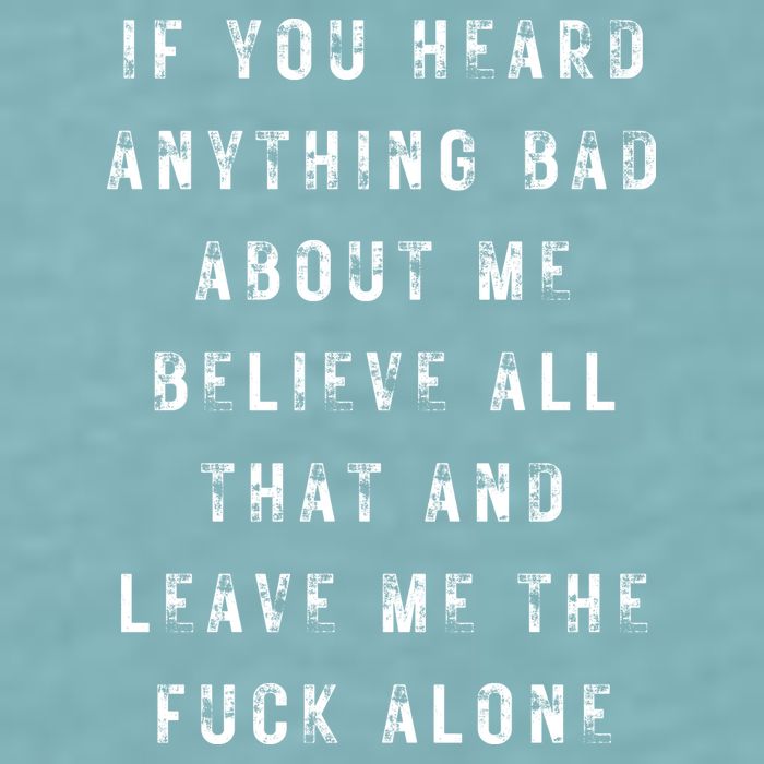 If You Heard Anything Bad About Me Sueded Cloud Jersey T-Shirt