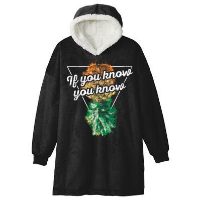 If You Know You Know Upside Down Pineapple Swinger Gift Hooded Wearable Blanket