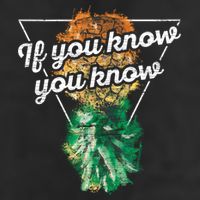 If You Know You Know Upside Down Pineapple Swinger Gift Adult Drive Performance Visor