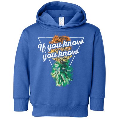 If You Know You Know Upside Down Pineapple Swinger Gift Toddler Hoodie