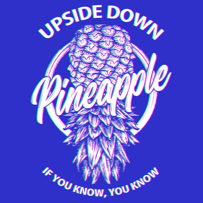 If You Know You Know Upside Down Pineapple Gift Mesh Reversible Basketball Jersey Tank