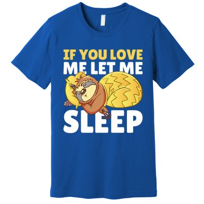 If You Love Me Let Me Sleep With A Sloth Gift Premium T-Shirt