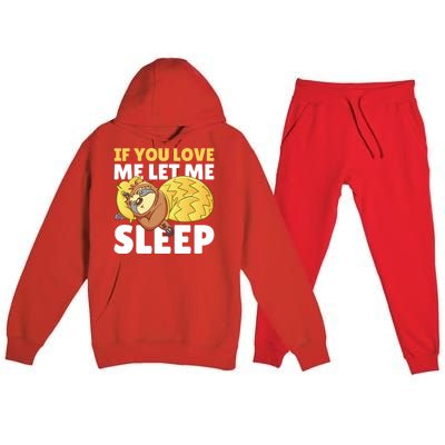 If You Love Me Let Me Sleep With A Sloth Gift Premium Hooded Sweatsuit Set