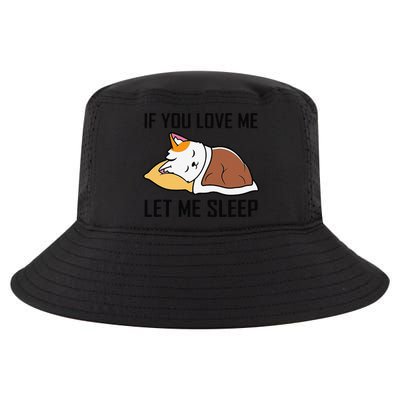 If You Love Me Let Me Sleep Cat Pet Lover Funny Gifts Cool Comfort Performance Bucket Hat