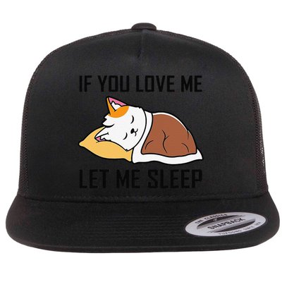 If You Love Me Let Me Sleep Cat Pet Lover Funny Gifts Flatbill Hat
